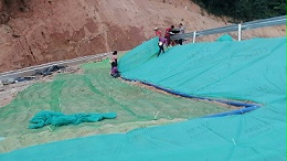 新丰县遥田镇维新至丹桂山旅游公路边坡绿化工程