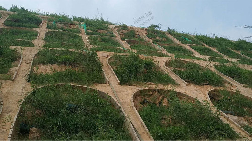 京珠高速韶关段公路边坡复绿工程