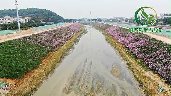 河道生态修复,边坡绿化