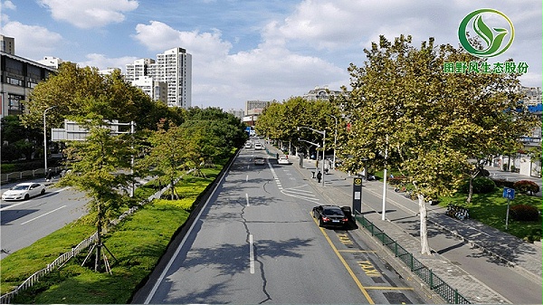 道路绿化,市政绿化