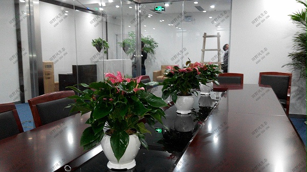广州绿植出租,办公室植物出租