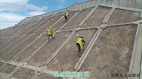 广汕高铁复绿工程