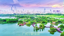 广州中新知城公共绿化养护