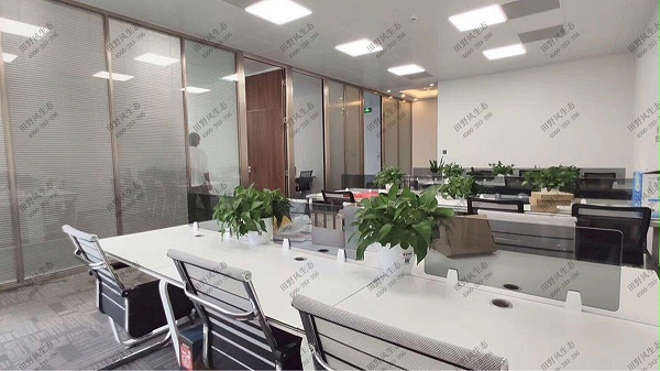 广州创展中心办公室花卉租赁服务项目