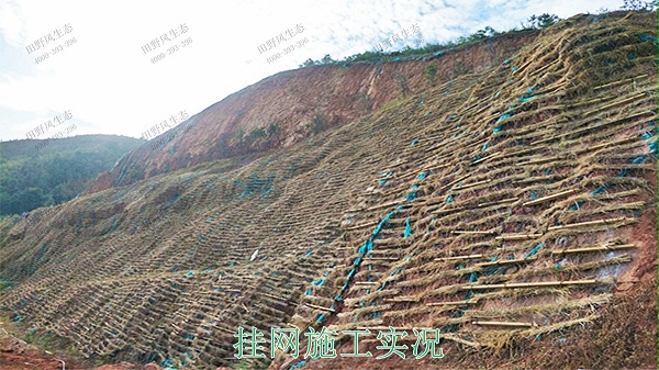 广东省高州市山体滑坡边坡复绿