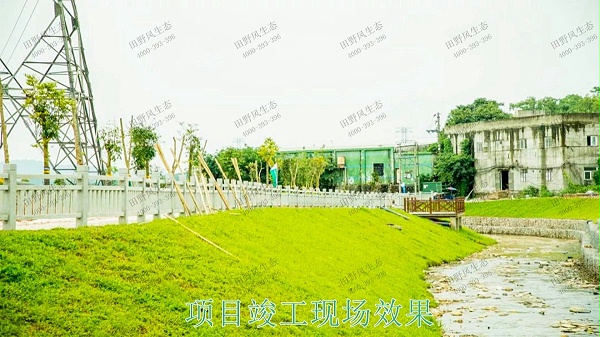 龙胜县和平河道河堤坡面挂网植草施工