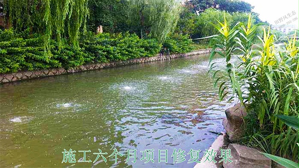 广宁县和漫水河道湖泊护坡绿化