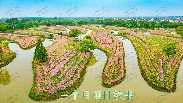 江夏区舒安未来家园休闲农业规划设计