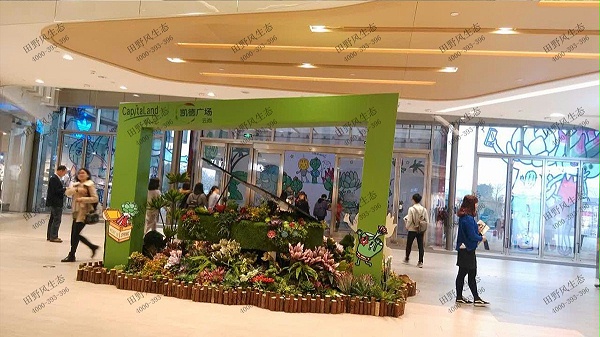 广州凯德广场植物花卉组合租赁案例