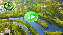 市政园林绿化视频