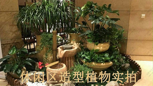 广州国际金融中心室内花卉租赁案例