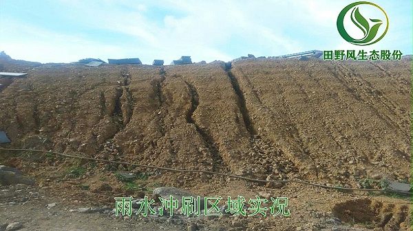 3雨水冲刷区域实况