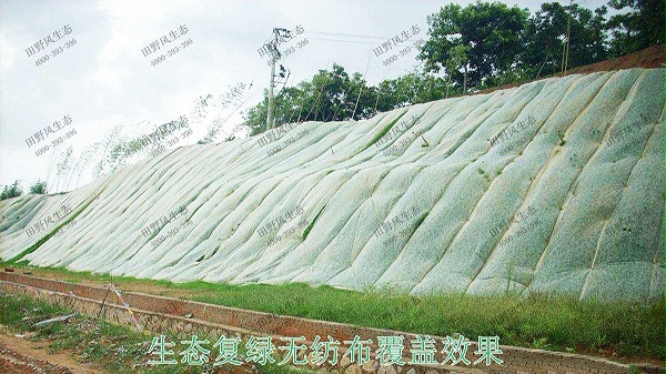 福建三明市工业园厂区边坡喷草