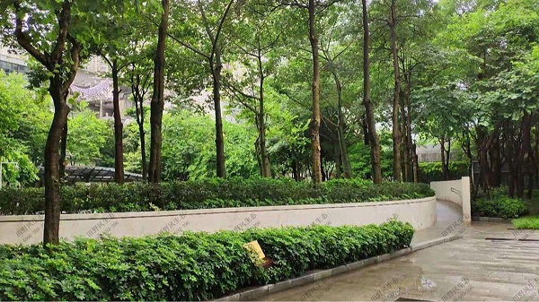 广州颐德公馆小区植物养护案例