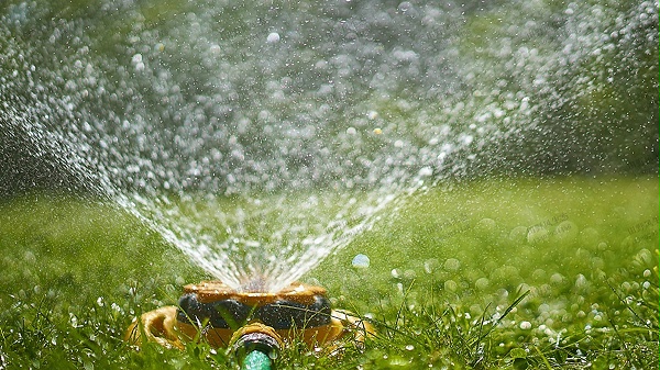 草坪浇水