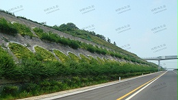 高速公路边坡绿化有哪些绿化方式？