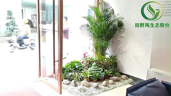 办公室室内植物租赁公司,植物租赁