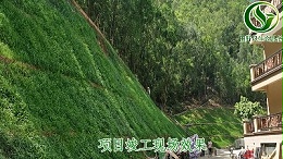 东莞市国际公馆边坡绿化工程今日圆满验收
