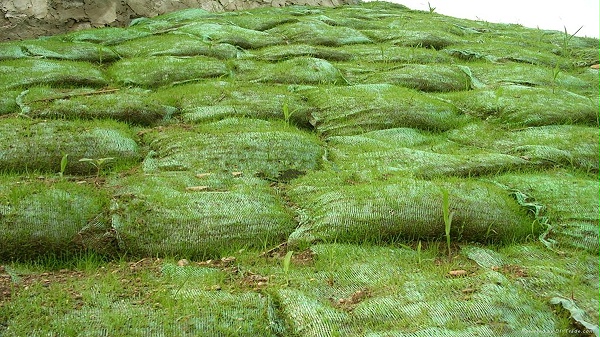 植生袋绿化护坡