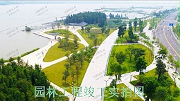 广东河源紫金省道绿化美化市政工程