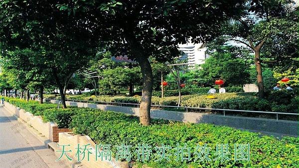 广东河源紫金省道绿化美化市政工程