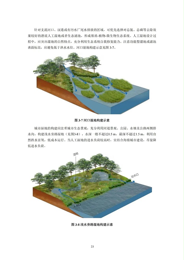 河湖生态缓冲带保护修复