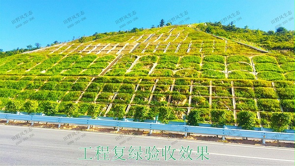 包茂高速高州段高速公路边坡喷播工程