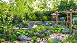 五步教你庭院绿化植物如何搭配！