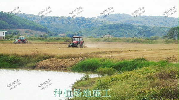 广西梧州思良江休闲农业生态园花海工程