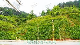 河源江东工业园边坡复绿工程