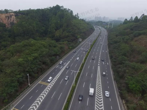 从莞高速公路边坡复绿