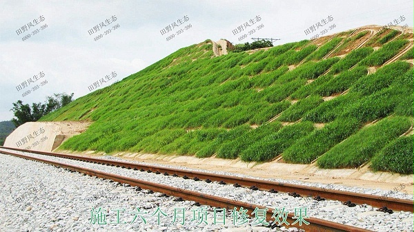 珠三角环线轻铁路边坡复绿工程