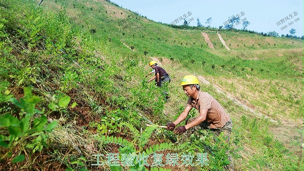 梅汕高铁潮汕段铁路边坡修复工程