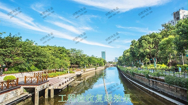 深圳茅洲河生态河道边坡喷草