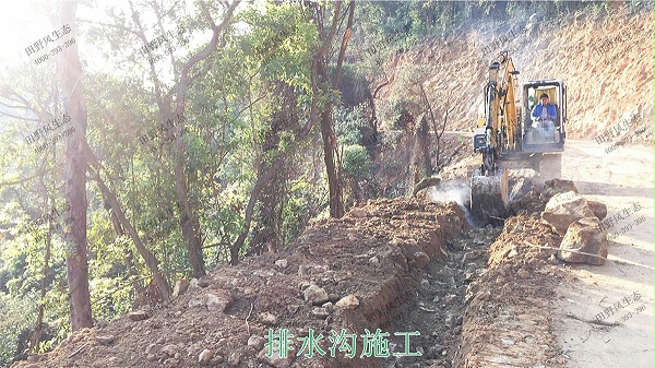 广州白水山森林公园生态修复