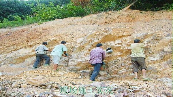 高州市泗水镇林丰石场生态修复工程