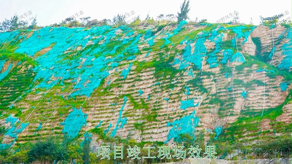 梅州永福石场生态修复工程