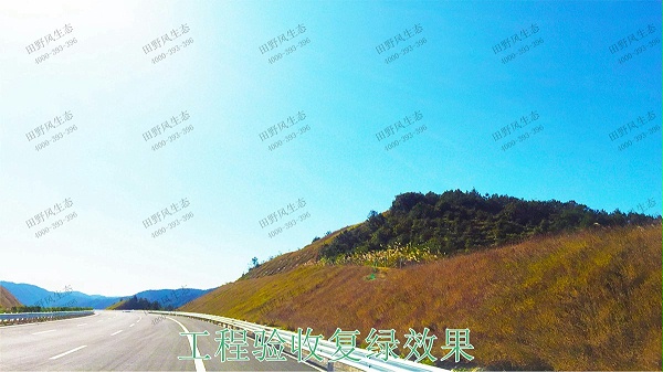 梅龙高速梅州段道路边坡植草工程