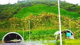 广珠高速中山段公路边坡绿化高速工程