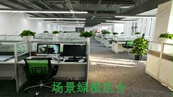 广州市创佳建筑模型公司绿植展示